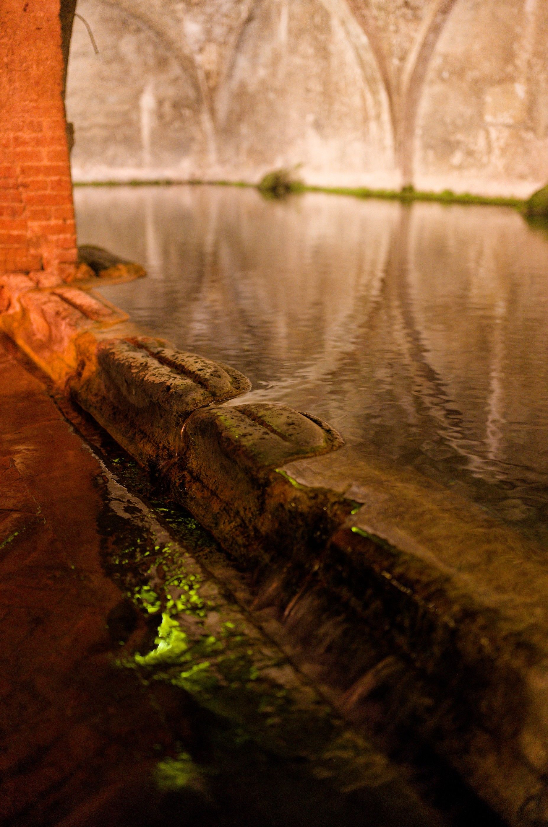 Siena's fountain